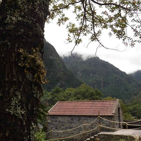 Nature Inn Madeira - Glamping Porto Moniz Buitenkant foto