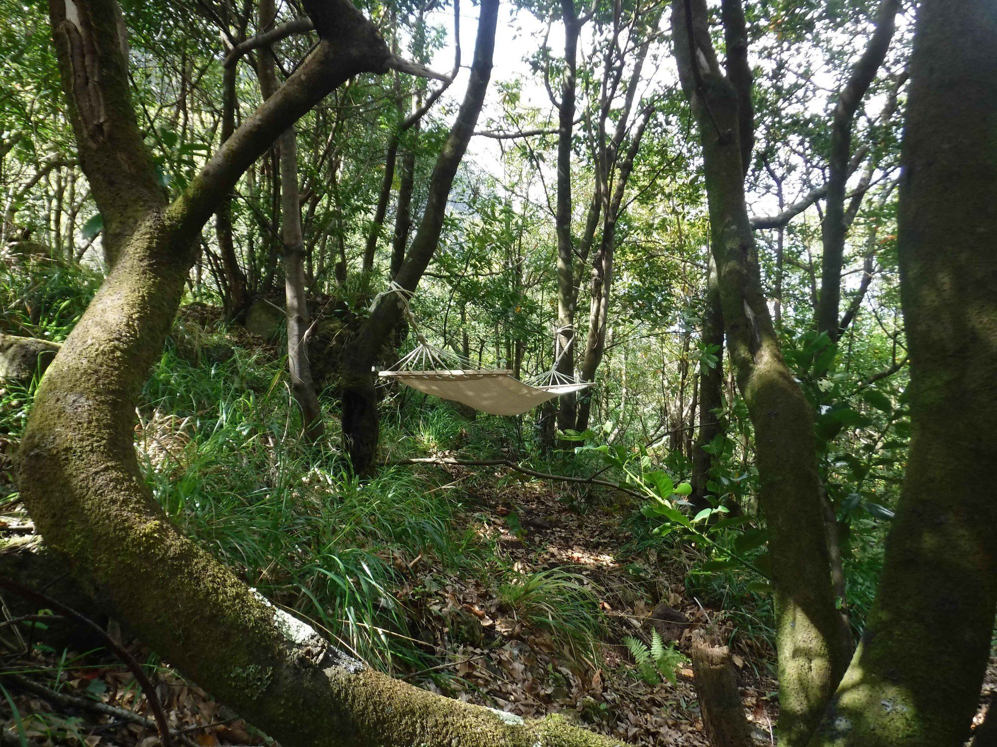 Nature Inn Madeira - Glamping Porto Moniz Buitenkant foto