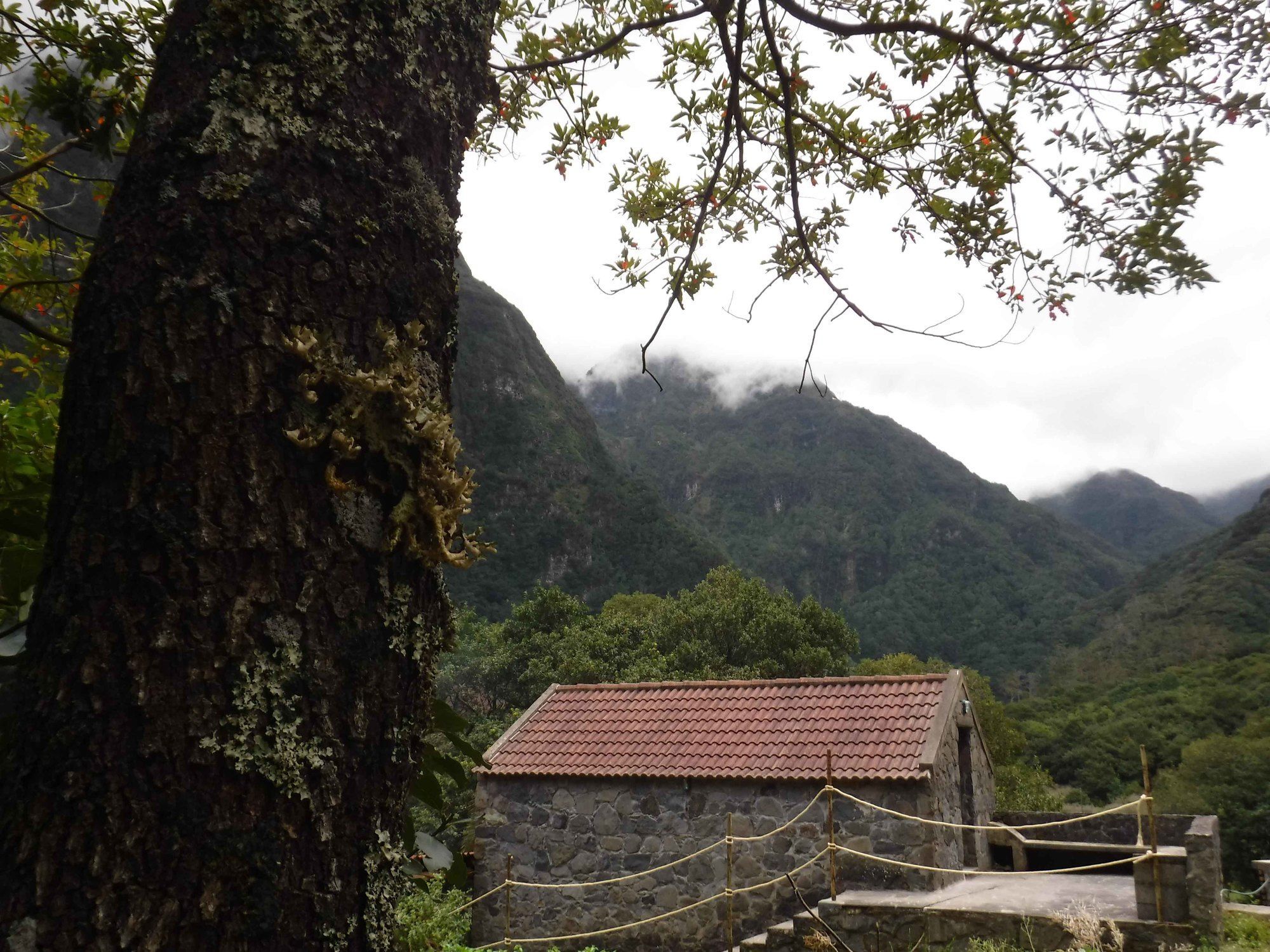 Nature Inn Madeira - Glamping Porto Moniz Buitenkant foto